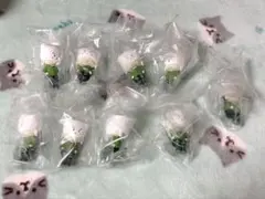 日常組 トラゾー すわりんこ エンタメくじ