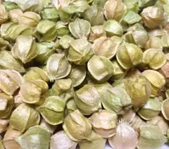 食用ほおずき300g