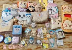 Item thumbnail for item dcc6068f-3941-43c8-886b-b728f9571abe