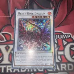 2025年最新】ブラックローズドラゴン レリーフ 英語の人気