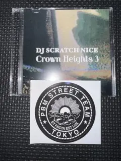 DJ Scratch Nice Crown Heights 3