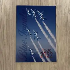 ブルーインパルス2020  直筆フルサイン リーフレット 60周年 聖火到着式 ブルーインパルス創設60周年記念 電波ソーラークロノグラフ
