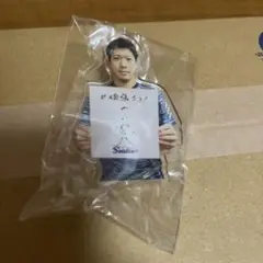 レア物　東京ヤクルトスワローズ　山田哲人　アクリルクリップ　未開封