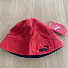 Item thumbnail for item 689f4fde-8938-423f-809f-9ce360cb75fb