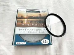 Item thumbnail for item 458d7cc1-4714-4ce3-8883-687da6919e06