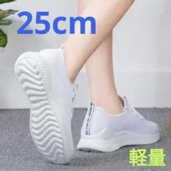 Item thumbnail for item 68a2acb9-e89b-4ba3-8a3d-72535d013c75