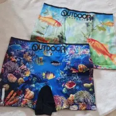 アウトドア 熱帯魚 金魚 L 2枚 OUTDOOR フィッシュ アクアリウム
