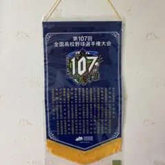 第107回選手権ベース型ペナント