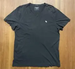 Abercrombie & Fitch ブラック Vネック Tシャツ