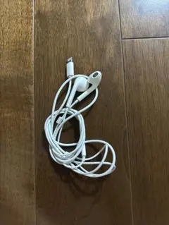 Apple 純正品 有線イヤホン イヤフォン lightning