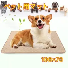 洗える ペットマット ペットシーツ トイレシート 防水 犬 猫　ベージュ2枚組