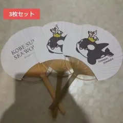 須磨シーワールド 非売品 うちわ 3枚セット