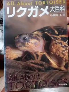 リクガメ大百科