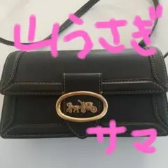 COACHミニサイズショルダーバッグ