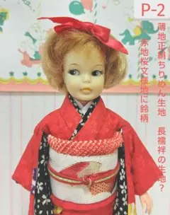 ペッパーちゃん着物(P-2)