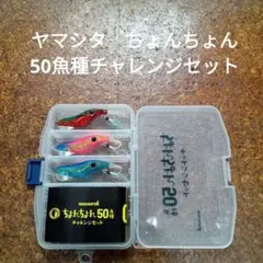 専用❗️エギ王ヤマシタエギセット❗️ちょんちょんチャレンジセットあり 数量限定】ちょんちょん 50魚種 チャレンジセット | ヤマシタと