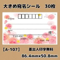 【A-107】宛名シール30枚/サンキュー/ケア/ほんのきもち/差出人/配達員
