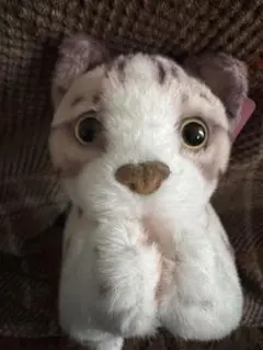 お願いにゃんこ　ぬいぐるみ　プライズ