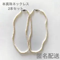 パールネックレス 真珠 2本セット
