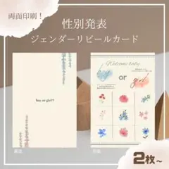 性別発表ジェンダーリビールカード 2枚セット