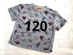 パウパトロール　半袖　Tシャツ　120 グレー