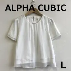 C0807A10【ALPHA CUBIC】シフォンブラウス