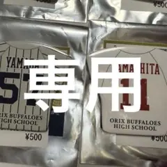専用