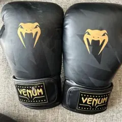 VENUMボクシンググローブ12oz