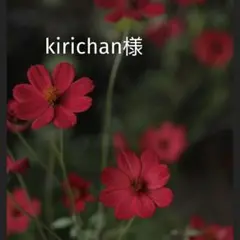 Item thumbnail for item 3edf8692-91d9-40b3-931d-dc337d3901dd