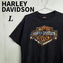 《希少》ハーレーダビッドソン　Tシャツ　L　ブラック　ビッグロゴ
