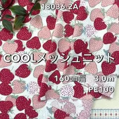 NO,18036-2A 160㎝幅 3.0m メッシュニット　イチゴ　ピンク
