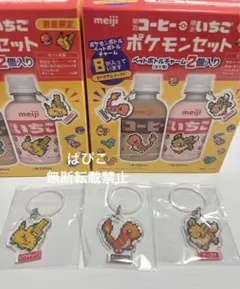 新品『ポケモンボトルペットボトルチャーム』ピカチュウ　ヒトカゲ　イーブイ