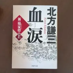 血涙 新楊家将 上下　2冊