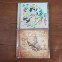 サラバ BUTTERFLY EFFECT CD・DVDセット