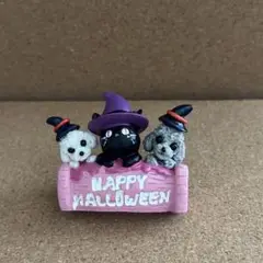 ハロウィン トイプードル