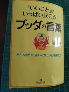 ブッダの言葉 樺沢紫苑著 王様文庫
