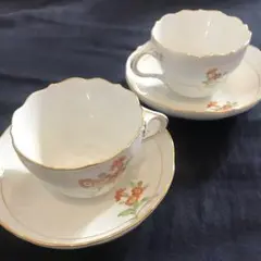 Item thumbnail for item 31ccb1b1-2aaa-47ac-a165-9c416eed2346