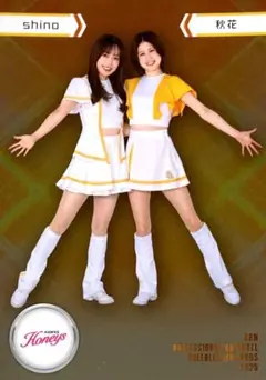 Item thumbnail for item 2d6d38fd-f417-4529-9583-dda818c8621b