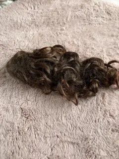 Item thumbnail for item c984f918-ef51-4bc3-aaa3-f7e33a3ce579