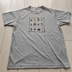 モンベルキッズmont-bell Tシャツ 160　美品