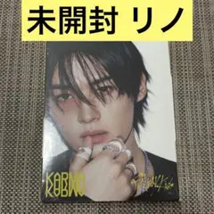 リノ KARMA accordion 新品未開封