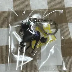 ノーザンホースパーク　モバガチャ　アルマヴェローチェ