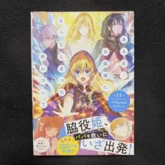ある日、お姫様になってしまった件について 11