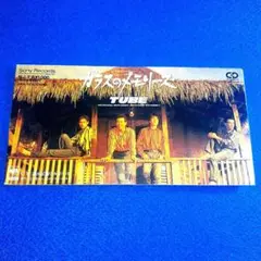 TUBE、8㌢CD、ガラスのメモリーズ、