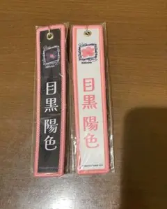 櫻坂46 目黒陽色 ネームタグキーホルダー 黒白セット
