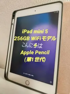 iPad mini 第5世代 WiFiモデル 256GB ローズゴールド