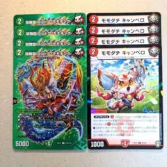 晴舞龍 ズンドコ・モモキング　4枚　モモダチ キャンベロ　4枚
