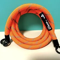 Item thumbnail for item e0c424a8-53eb-43c5-8756-9b9c90f9c532