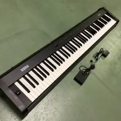 2025年最新】コルグ SP-100の人気アイテム - メルカリ