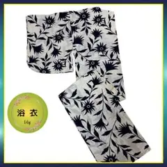 Item thumbnail for item 4c30bc13-9362-42e0-abe5-626d9c21364b